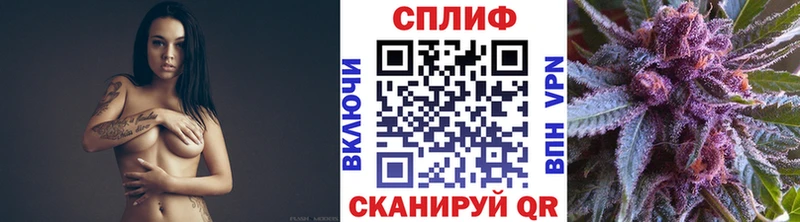 Шишки марихуана сатива Любим